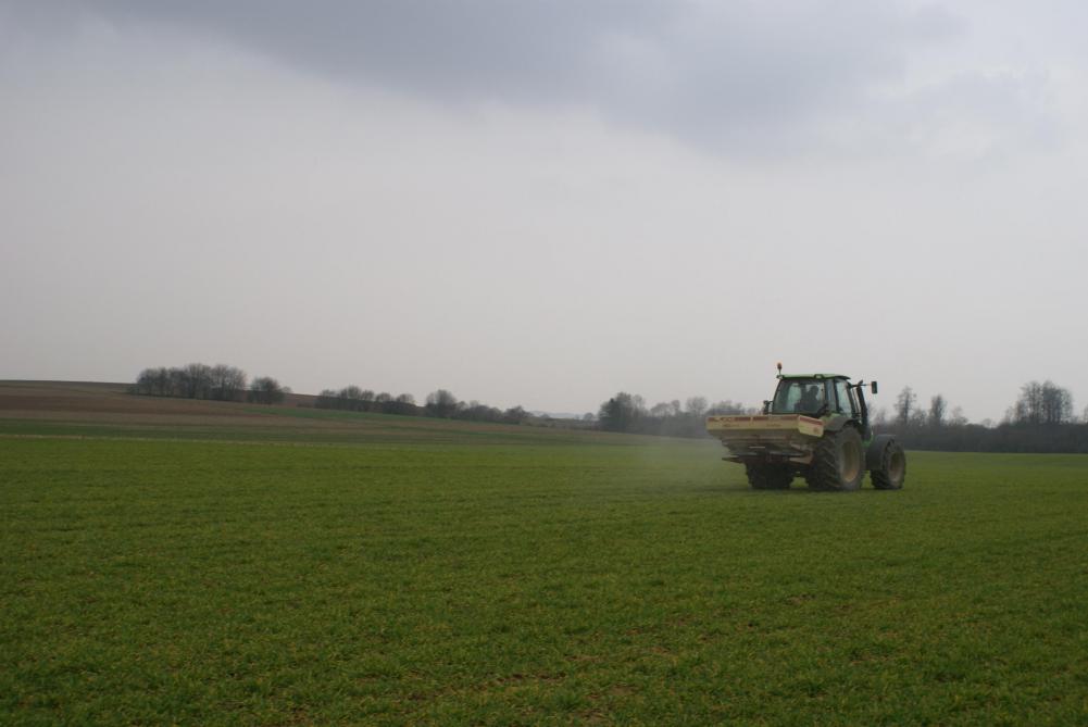 Ce qu’il faut retenir des essais de variétés hybrides est qu’elles sont en général moins pénalisées par une fraction de tallage réduite (non nul) que les variétés lignées dans les conditions limoneuses. Ensuite, la fraction de redressement est importante (70 kgN/ha) pour permettre à un nombre de talles suffisant de monter en épis. Enfin, la fraction dernière feuille est importante pour assurer un bon remplissage des grains.