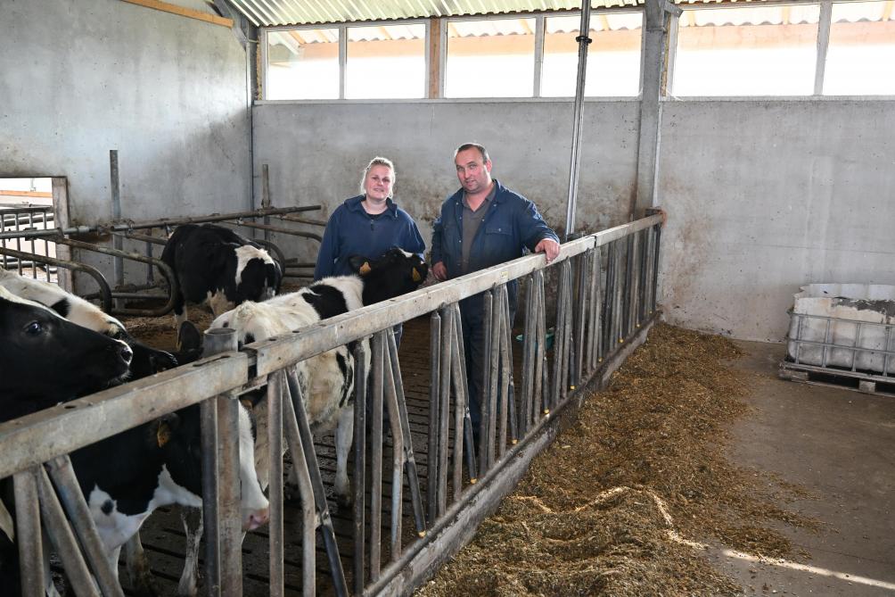 d-20251023-HEHXFA 2025-10-17 09_34_58