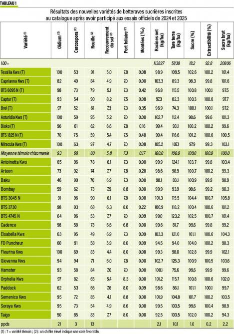 03-betteraves-01-web