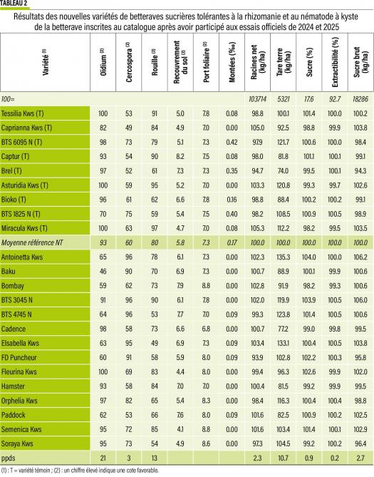 03-betteraves-02-web