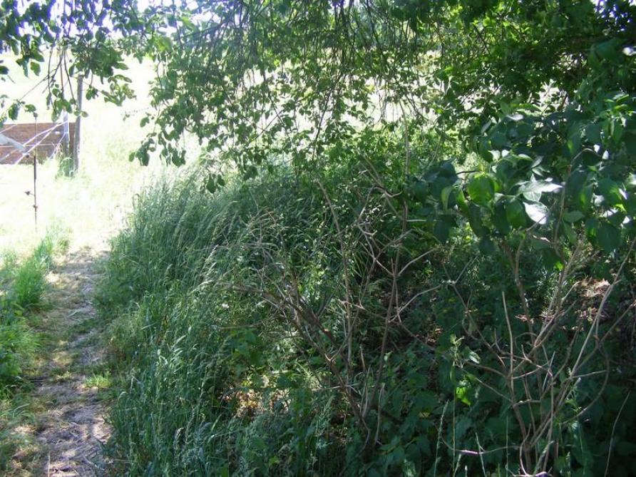 Le jardin est zoné en fonction des intérêts et finalités poursuivis. Dans le fond du terrain, par exemple, les plantes se développent et restent en place ou ne sont fauchées qu’une fois par an pour produire un paillis destiné à protéger le sol en d'autres zones.