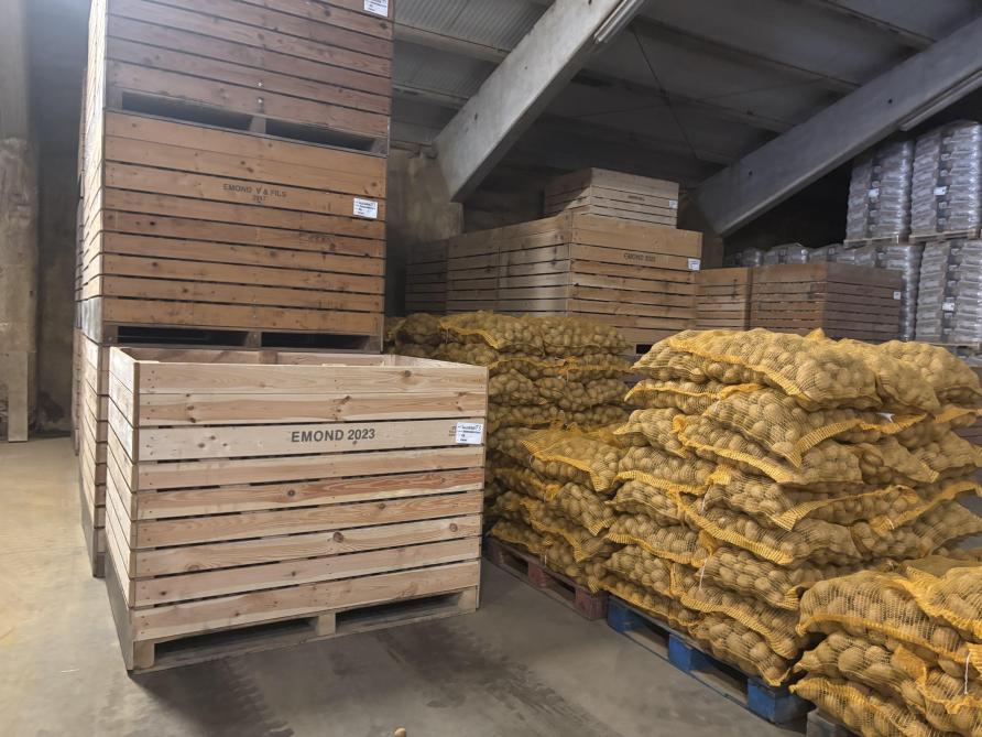 L’exploitation a une capacité de stockage  en frigo de 2.000 t.