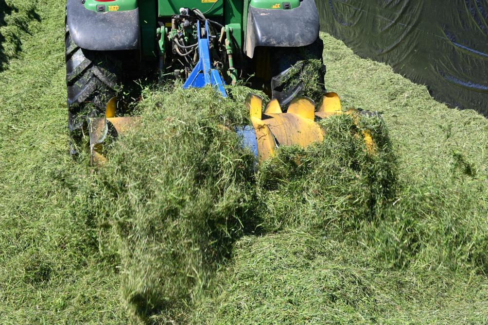 Les premières conclusions montrent que les bactéries ne sont pas toujours indispensables,  bien qu’elles puissent, dans certains cas, améliorer la conservation des ensilages.