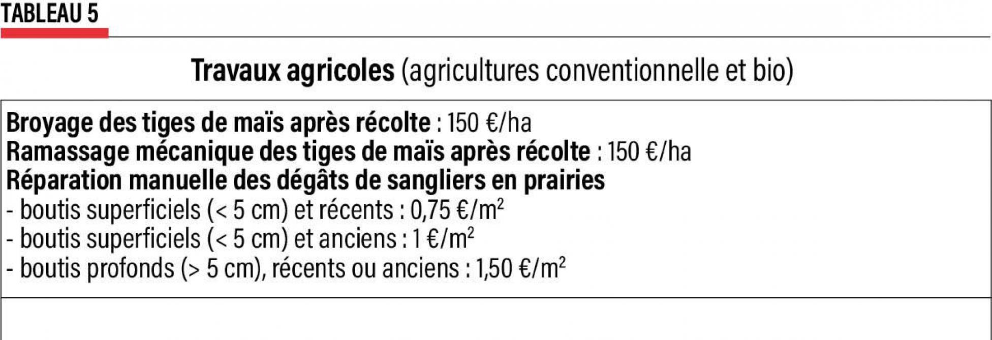 10-production agricole -5 (2)