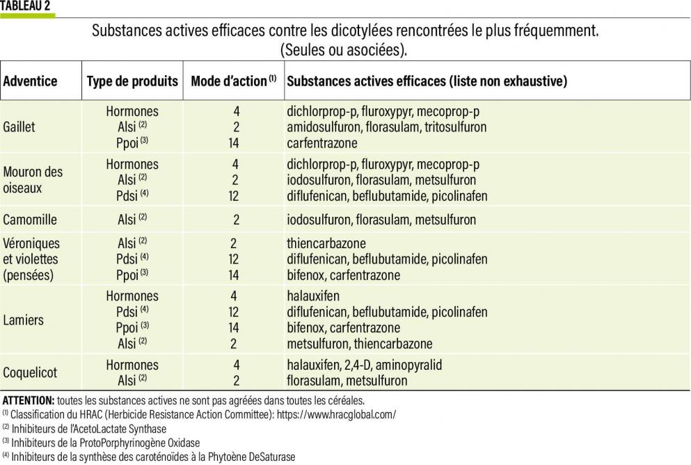 10- – Substances-web