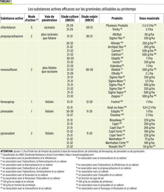 10-  Les substances actives efficaces sur les graminées utilisables au prin