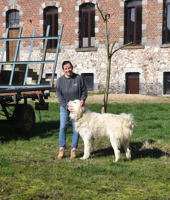 Charlotte et son « patou », un chien de protection vit au milieu du troupeau et s’interpose en cas de menace.