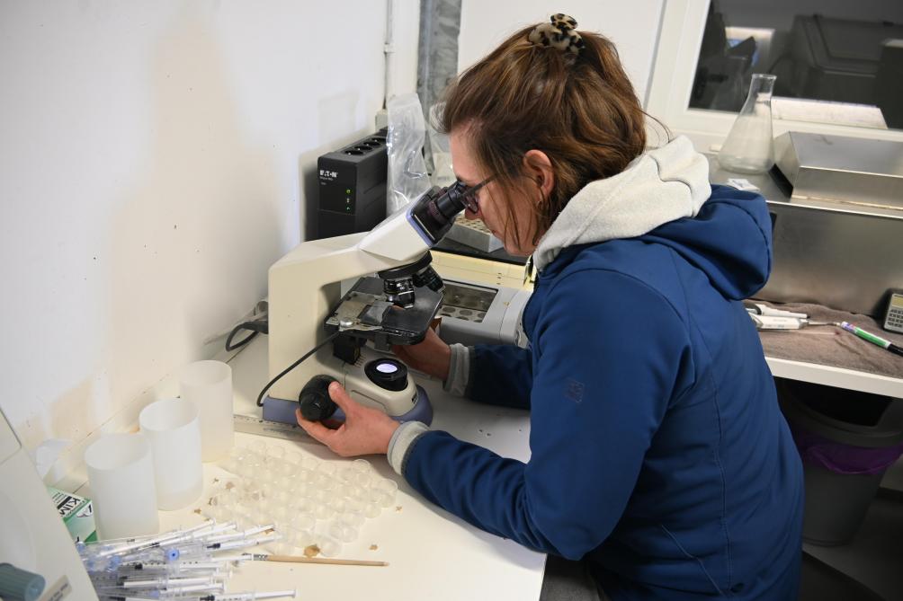 Odile Monfort analyse, à plusieurs reprises, les différentes doses pour s’assurer de la qualité de celles-ci.