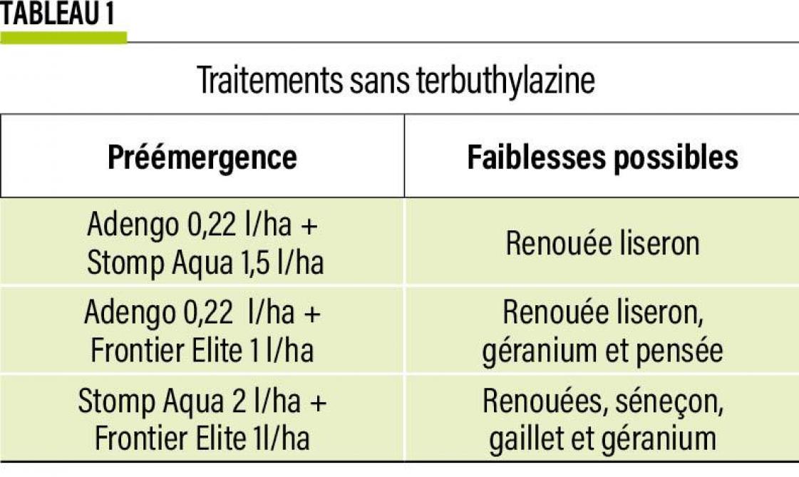 16-MAÏS-sans-terbu-01-web (2)