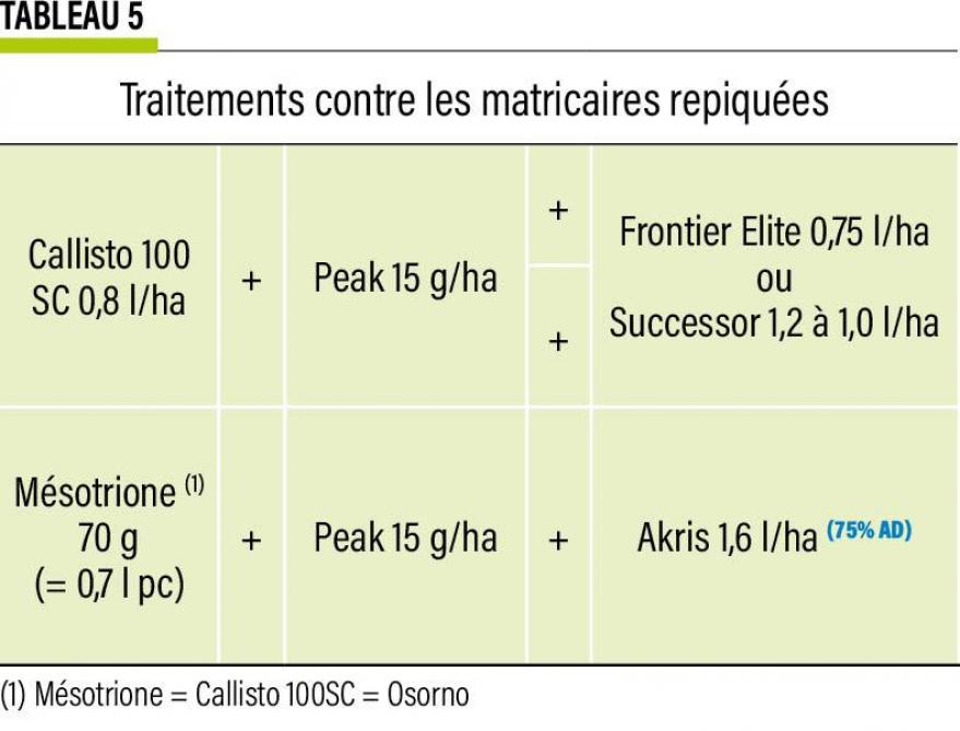 16-MAIS-matricaire-05-web
