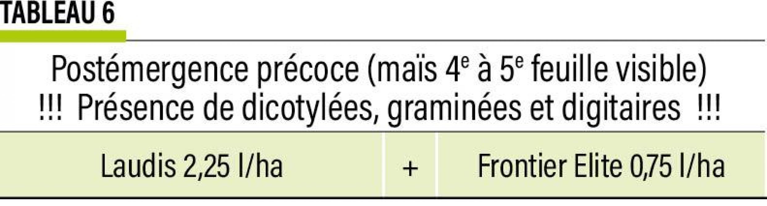 16-MAIS-gram-digitaires-06-web