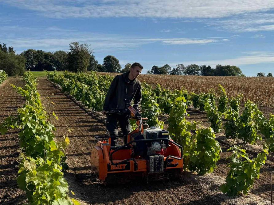 Le vignoble d’environ 1.000 pieds a été implanté sur le site même de l’école, afin d’en faire un outil directement mobilisable dans les cours.