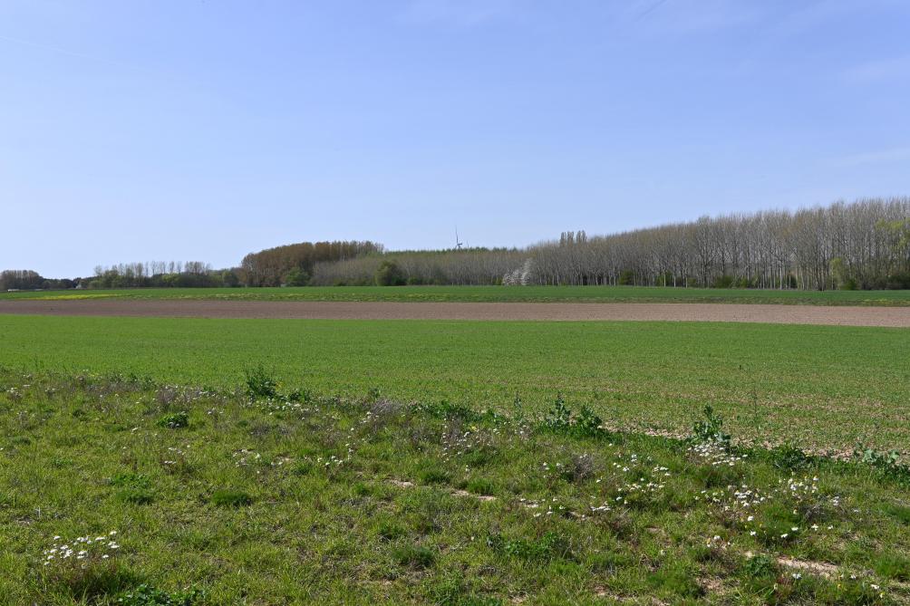 L’école Organic s’appuie sur 60 ha pour proposer une formation immersive en agroécologie biologique, centrée sur l’observation et l’apprentissage direct sur le terrain.