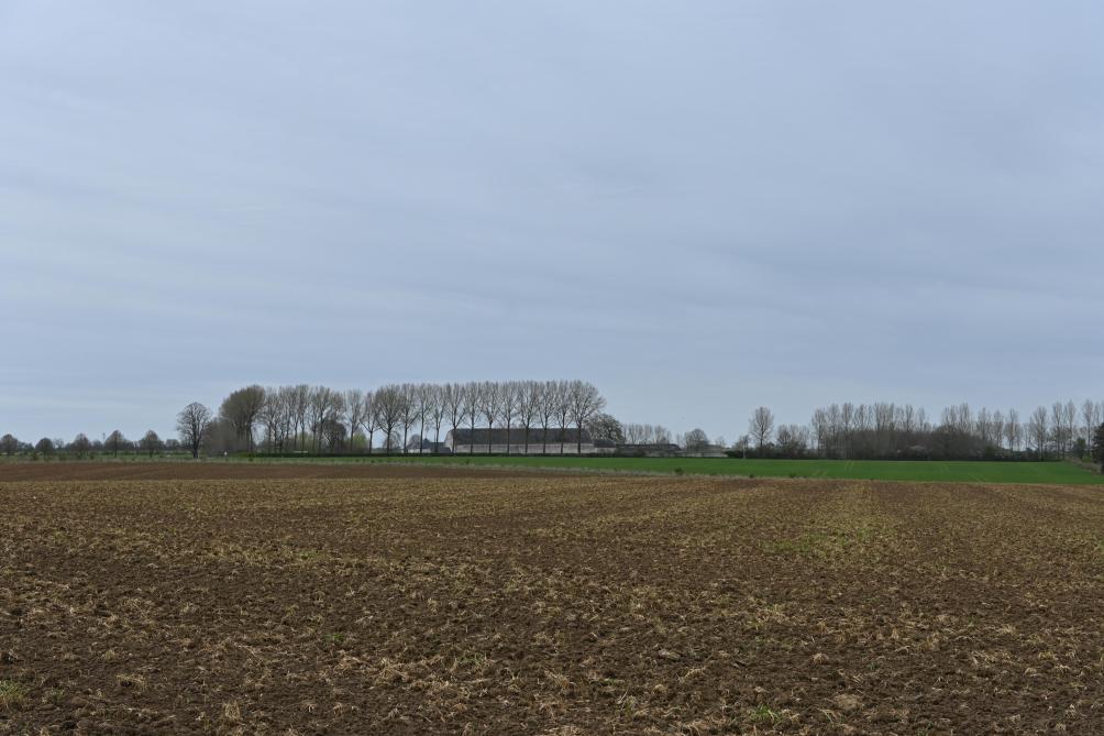 Sur les parcelle de la ferme de Géronvillers, chaque culture s’inscrit dans une logique d’ensemble visant à améliorer la résilience du système.