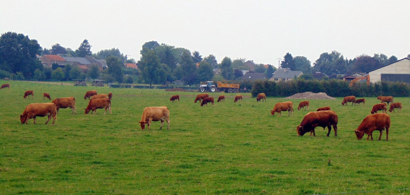 La Pac risque de devenir un outil de réparation plutôt que d’anticipation, au moment même où la stabilité des systèmes agricoles dépend de leur capacité à intégrer le risque dans leur fonctionnement.