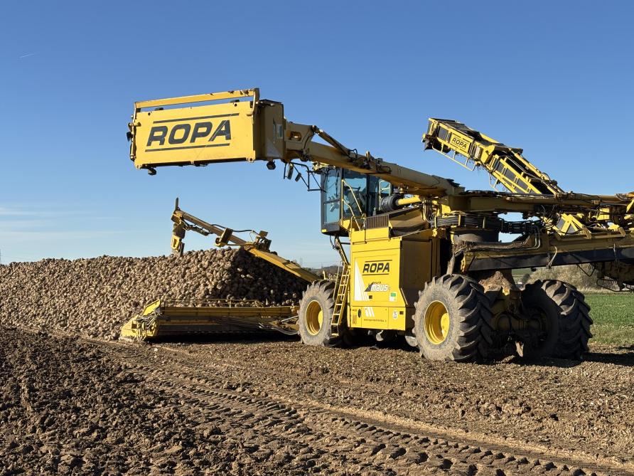 Selon les dernières informations de la Commission, en 2026, l’emblavement européen  en betterave devrait reculer de plus de 8%.