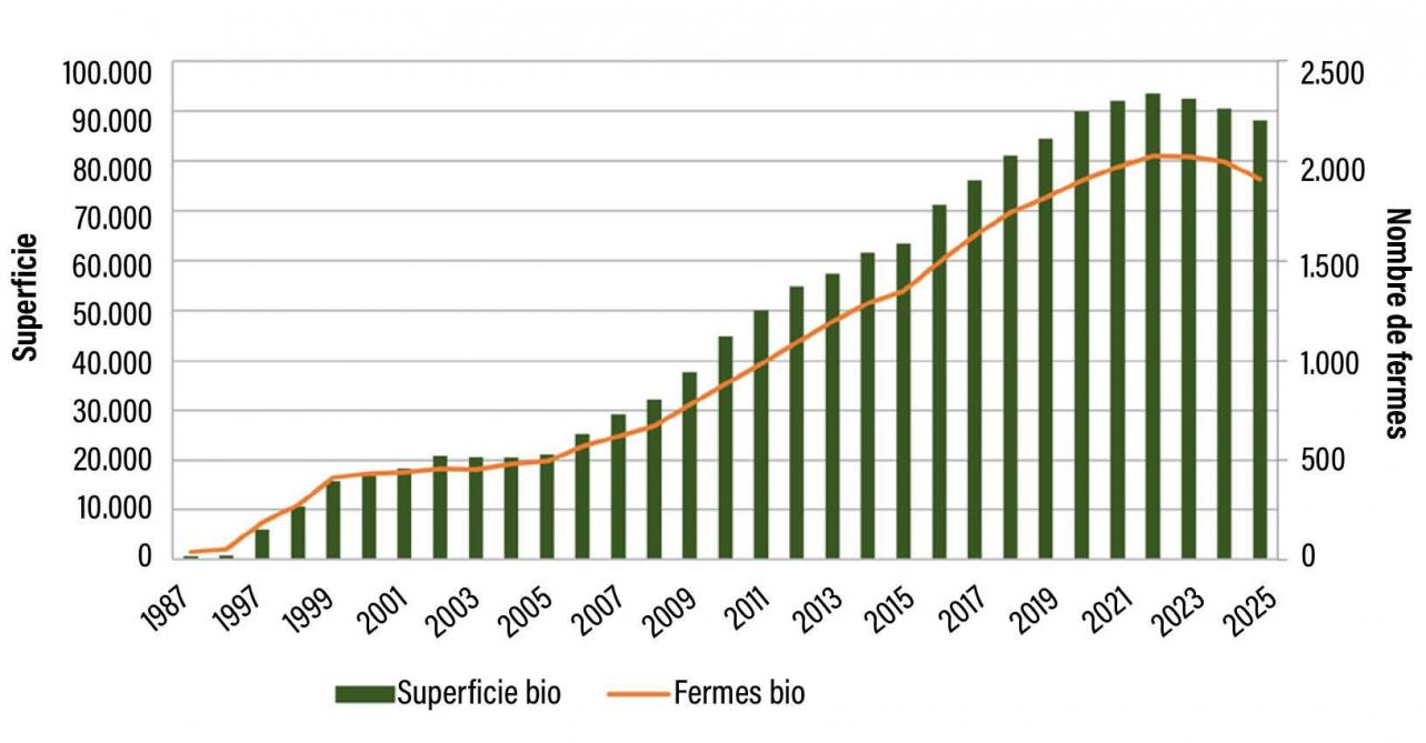 Figure 1: évolution de la superficie et du nombre de fermes bio en Wallonie (source: Biowallonie).