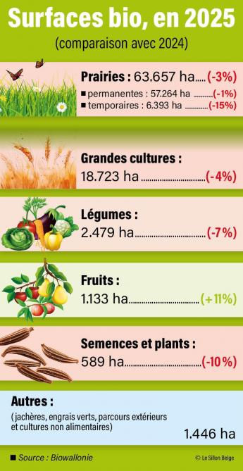 22-infograph-bio-01-web
