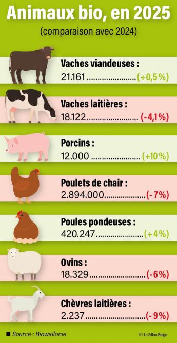 22-infograph-bio-02-web