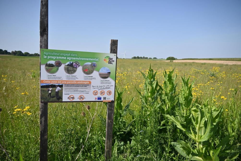 En 2016, seul un seul agriculteur était engagé en MAEC, soit 0,6 % des terres arables. Ils sont désormais 14, avec un réseau de MAEC représentant 3,7 % de ces terres.