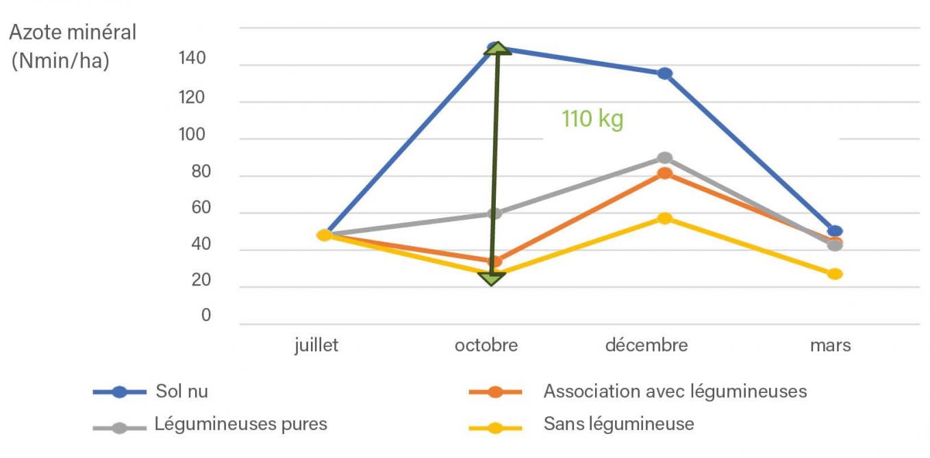 Figure 1: évolution du reliquat d’azote minéral en fonction du type d’interculture implanté en juillet après récolte de pois et détruit en octobre avant le semis d’un froment d’hiver (moyennes mesurées de 2012 à 2016), UCLouvain-Earth and Life Institute, Greenotec.