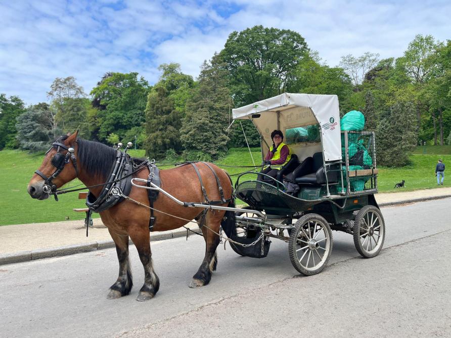Les chevaux sillonnent les espaces verts bruxellois avec leur remorque hippomobile et ramassent chaque année près de 6.000 sacs poubelles dans les parcs et les lisières forestières. Une activité qui assure une partie importante des ressources financières de l’association.