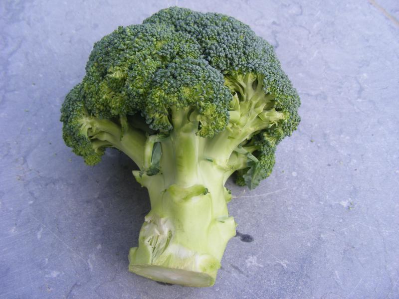 SB 4113 brocoli