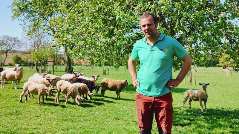 Propriétaire d’un verger de 120 arbres fruitiers hautes-tiges, Gaston Van Wilder est convaincu que le busard est un allié précieux qui va l’aider à lutter contre les rongeurs, mais dont la présence pourrait aussi jouer un rôle d’effaroucheur pour d’autres espèces d’oiseaux.