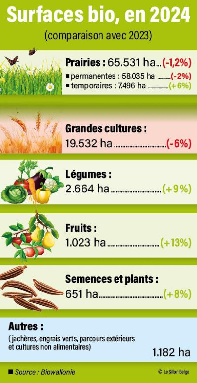20-infograph-bio-01-web