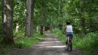 « Les forêts fournissent,  gratuitement et pas seulement à leurs propriétaires, des biens et services comme le paysage,  la récréation et la biodiversité », relève Jacques Rondeux.