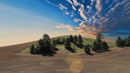 farmland-768603_1920