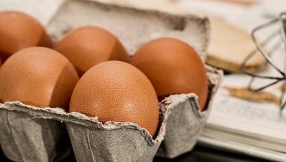 egg-944495_1920