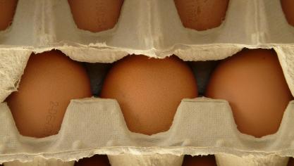 egg-5815_1920