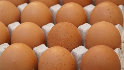 Au coeur du scandale des oeufs contaminés au fripronil: les agences alimentaires belge et néerlandaise.