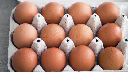 eggs-2343234_1920