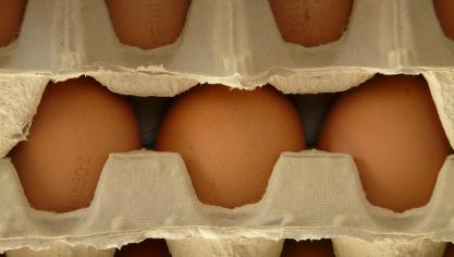 egg-5815_1920