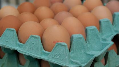 eggs-1887395_1920