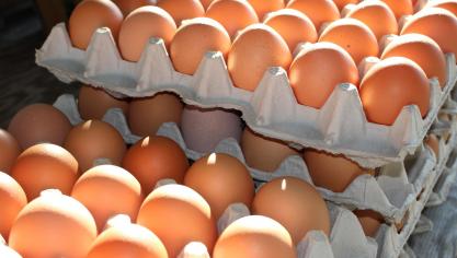 fresh-eggs-2581036_1920