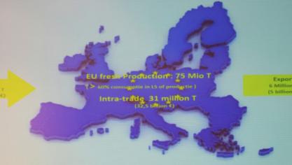 Le marché intérieur de l’Union européenne est et reste un marché sûr  et stable pour les produits agricoles et horticoles, tant  en volumes qu’en valeurs.