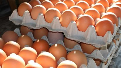 fresh-eggs-2581036_1920 (1)