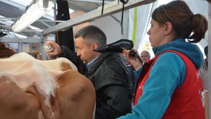 La mise en beauté avant de monter sur le ring. Au Sommet, concours et présentations animales se succèdent allègrement pendant 3 jours.