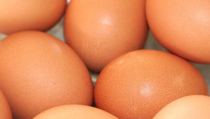 eggs-1658636_1920
