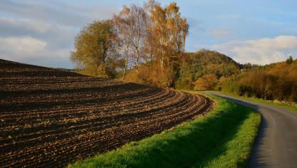 arable-2896460_1920