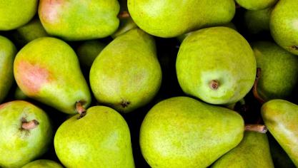 fruit-1534494_1920