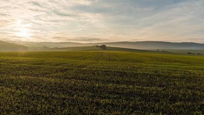 landscape-2211587_1920