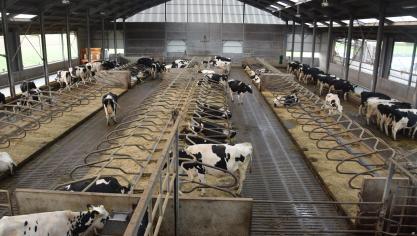 En moyenne, les producteurs laitiers ont pu entreprendre 13 initiatives pour améliorer la durabilité cette année, contre 9 en 2014.