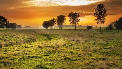 countryside-336686_1920