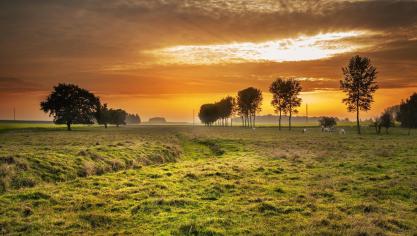 countryside-336686_1920