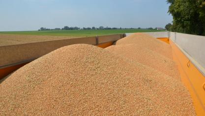 Les débuts difficiles pour les exportations françaises de blé s’expliquerait par une très forte concurrence au départ de la mer Noire mais aussi des États-Unis et de l’Argentine.