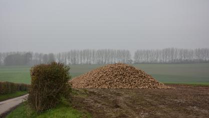 Les fabricants de sucre européens affirment que la crise actuelle largement due aux subventions et dumping pratiqués par l’Inde, la Thaïlande et le Pakistan.